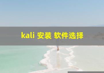 kali 安装 软件选择